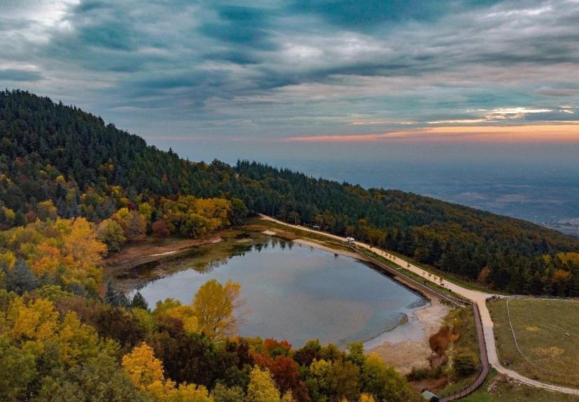 B&B Agora Biccari Dış mekan fotoğraf